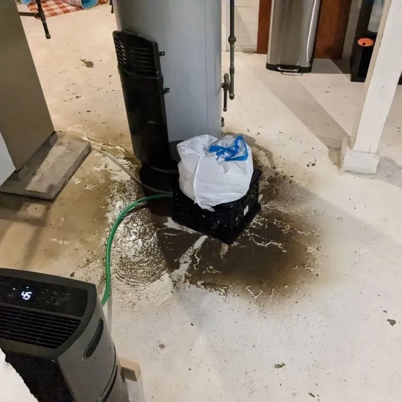 Sewage Backup Cleanup Service in Alabaster, AL